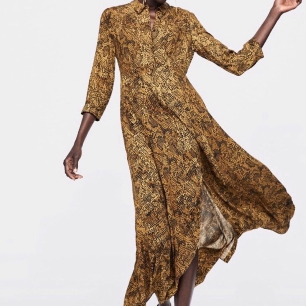 Zara Snakeskin Print Button Up Shirt Dress